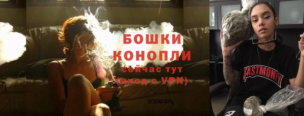 винт Нягань