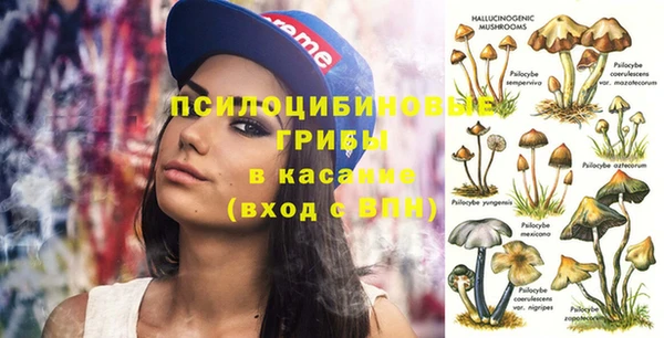 МДПВ Новокубанск
