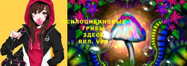 метадон Няндома