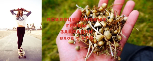 МДПВ Новокубанск