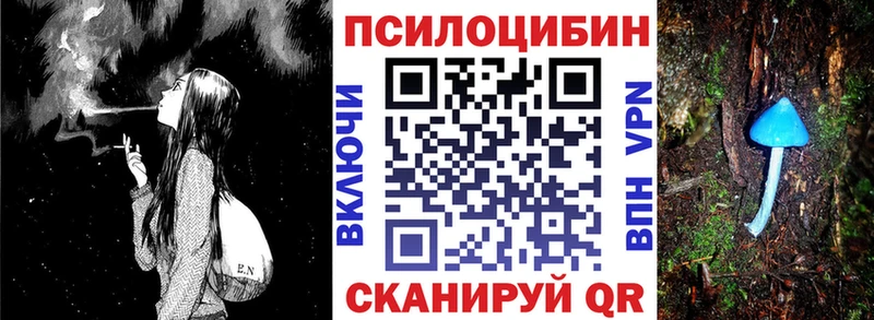 Псилоцибиновые грибы Psilocybine cubensis  сколько стоит  Сертолово 
